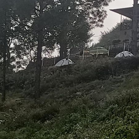 Nainital Adventure Park & Resort Bagian luar foto