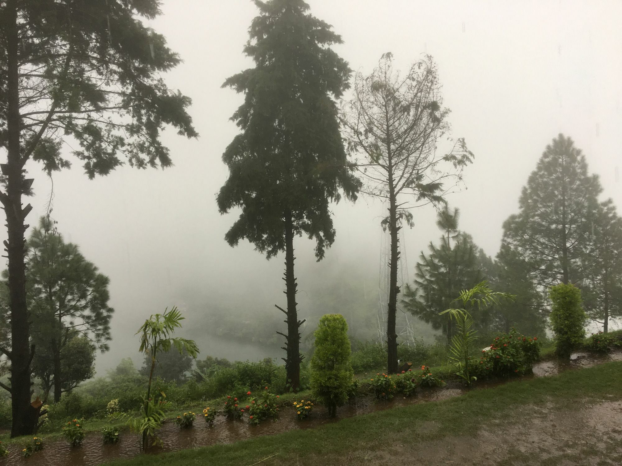 Nainital Adventure Park & Resort Bagian luar foto
